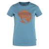 Fjallraven Womens Arctic Fox T-shirt Dawn Blue